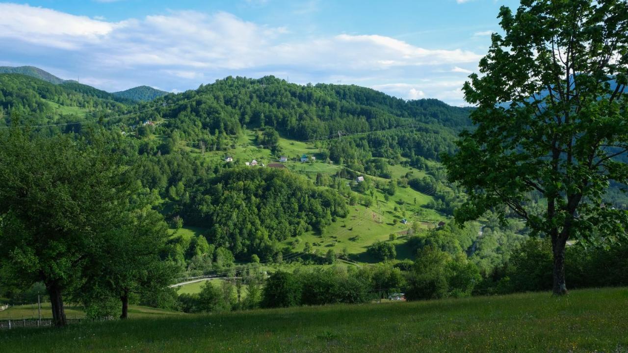 Fern Farm Eco Resort Mojkovac Eksteriør bilde
