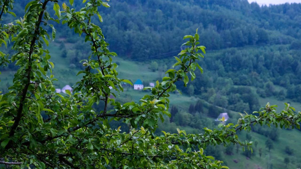 Fern Farm Eco Resort Mojkovac Eksteriør bilde