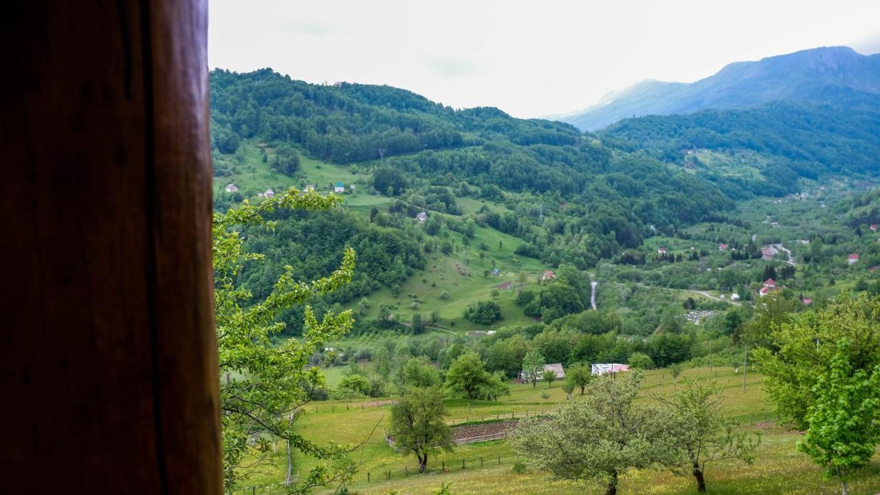 Fern Farm Eco Resort Mojkovac Eksteriør bilde