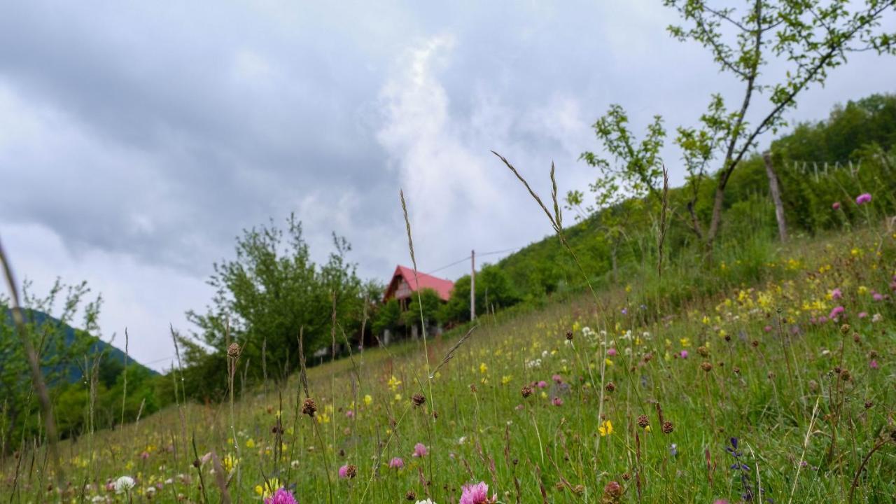 Fern Farm Eco Resort Mojkovac Eksteriør bilde