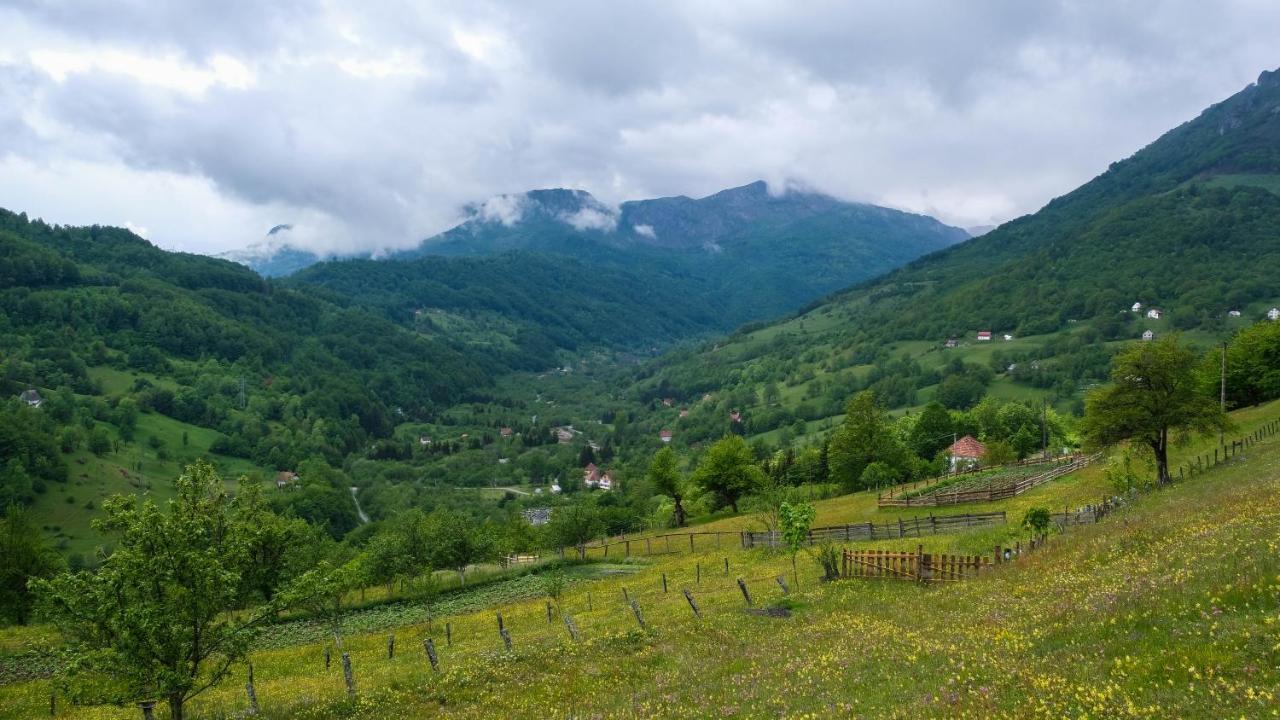 Fern Farm Eco Resort Mojkovac Eksteriør bilde