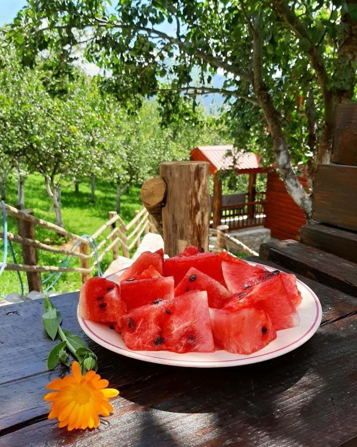 Fern Farm Eco Resort Mojkovac Eksteriør bilde