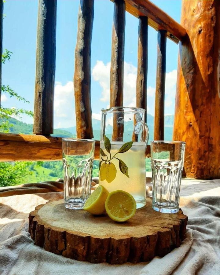 Fern Farm Eco Resort Mojkovac Eksteriør bilde