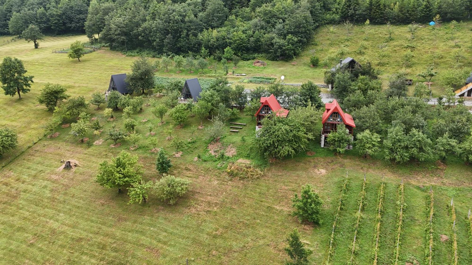 Fern Farm Eco Resort Mojkovac Eksteriør bilde